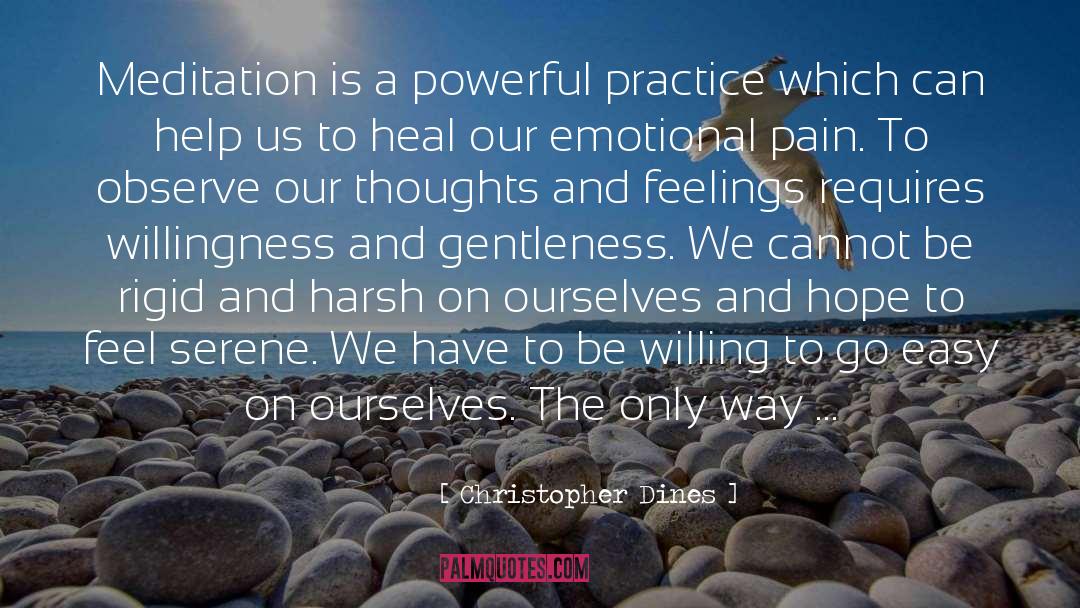 Christopher Dines Quotes: Meditation is a powerful practice