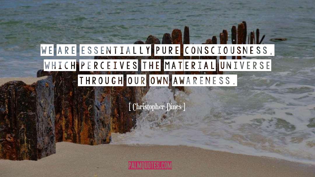 Christopher Dines Quotes: We are essentially pure consciousness,