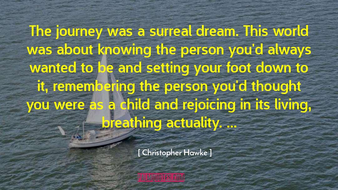 Christopher Hawke Quotes: The journey was a surreal