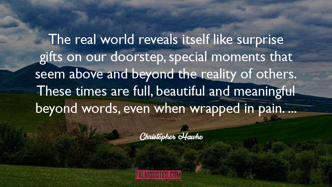 Christopher Hawke Quotes: The real world reveals itself