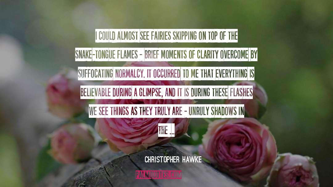 Christopher Hawke Quotes: I could almost see fairies