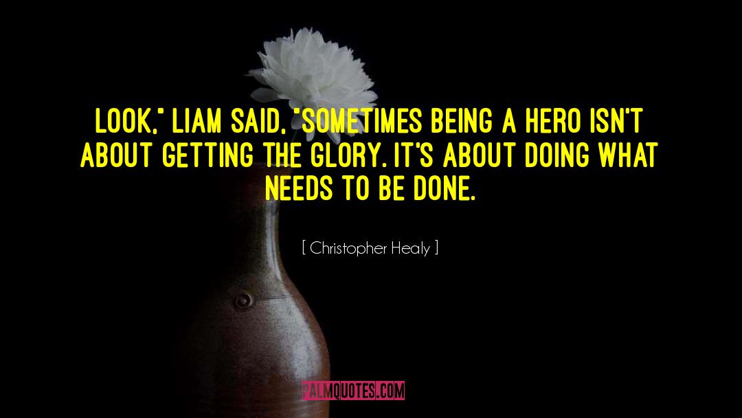 Christopher Healy Quotes: Look,