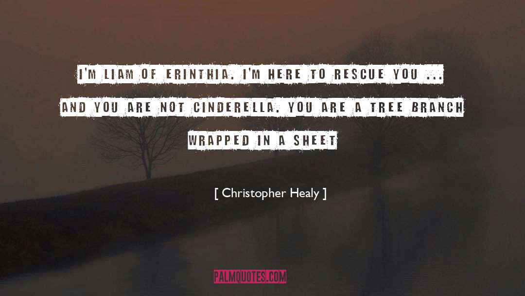 Christopher Healy Quotes: I'm Liam of Erinthia. I'm