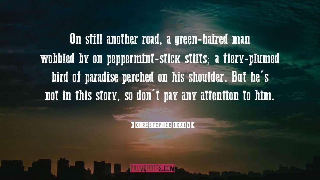 Christopher Healy Quotes: On still another road, a