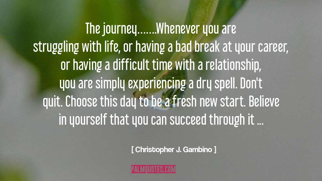 Christopher J. Gambino Quotes: The journey…….Whenever you are struggling