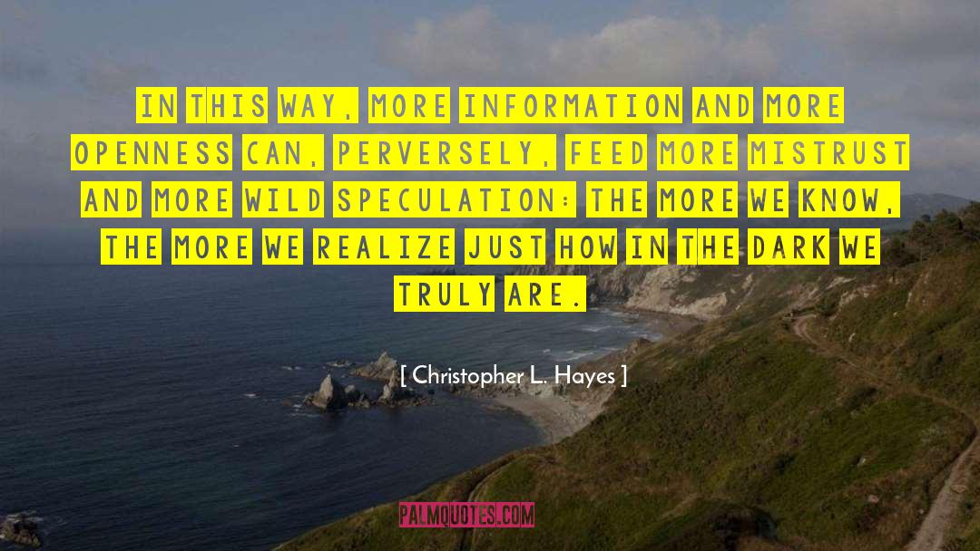 Christopher L. Hayes Quotes: In this way, more information