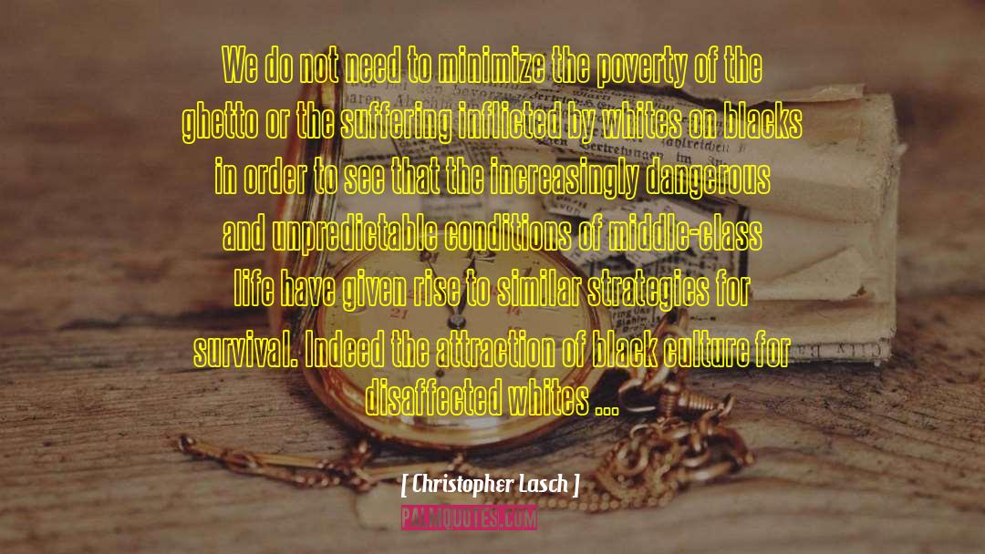 Christopher Lasch Quotes: We do not need to