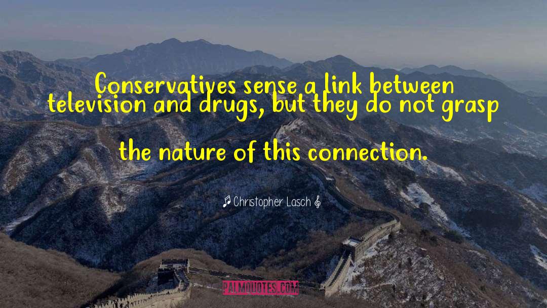 Christopher Lasch Quotes: Conservatives sense a link between