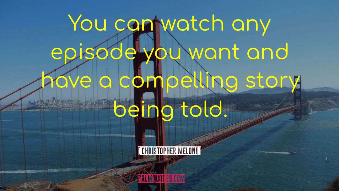 Christopher Meloni Quotes: You can watch any episode