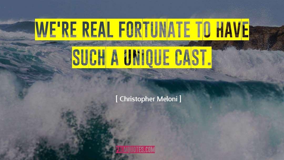 Christopher Meloni Quotes: We're real fortunate to have