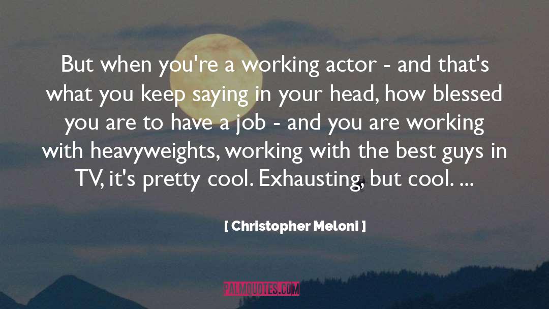 Christopher Meloni Quotes: But when you're a working