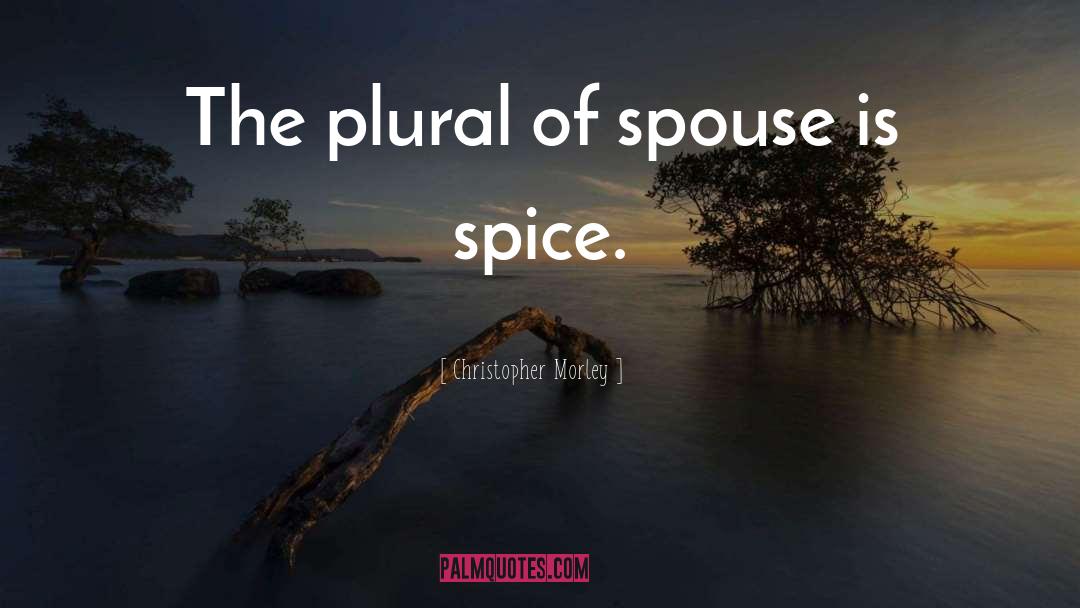 Christopher Morley Quotes: The plural of spouse is