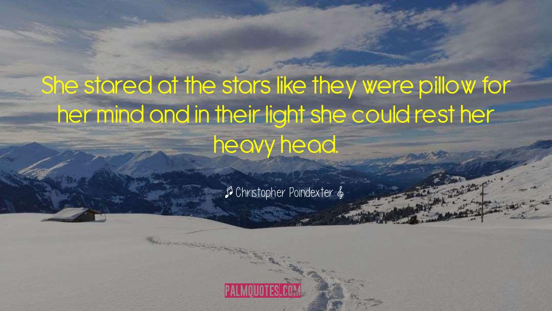 Christopher Poindexter Quotes: She stared at the stars