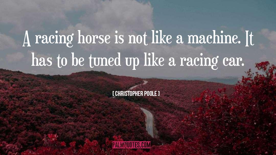 Christopher Poole Quotes: A racing horse is not