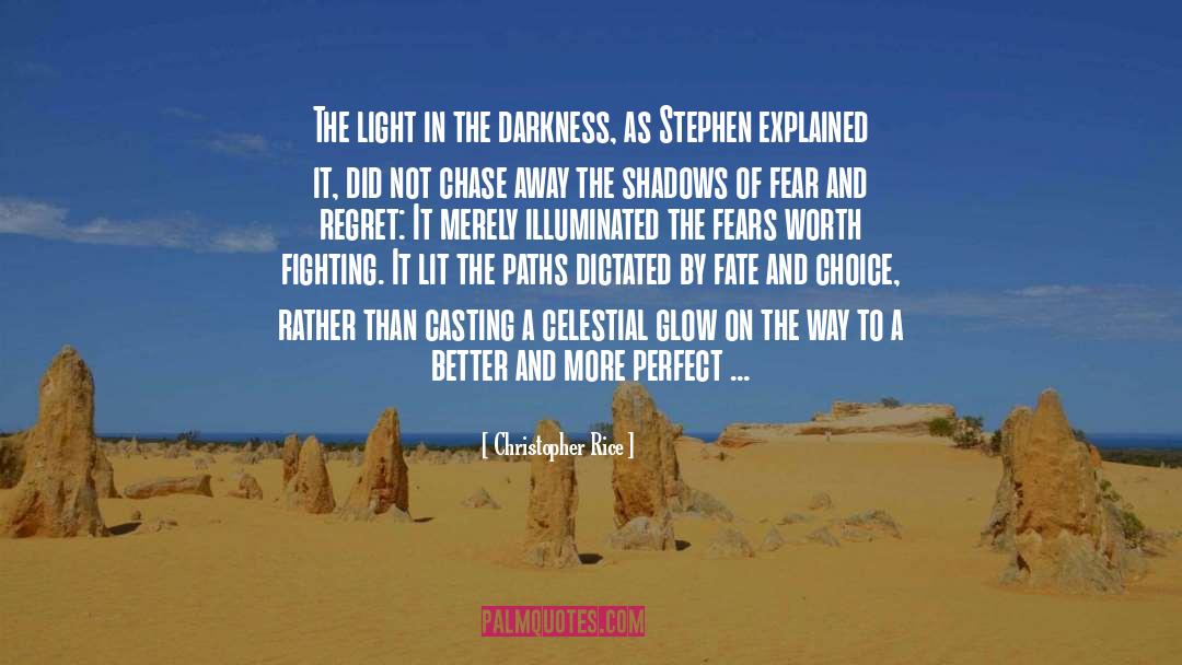 Christopher Rice Quotes: The light in the darkness,