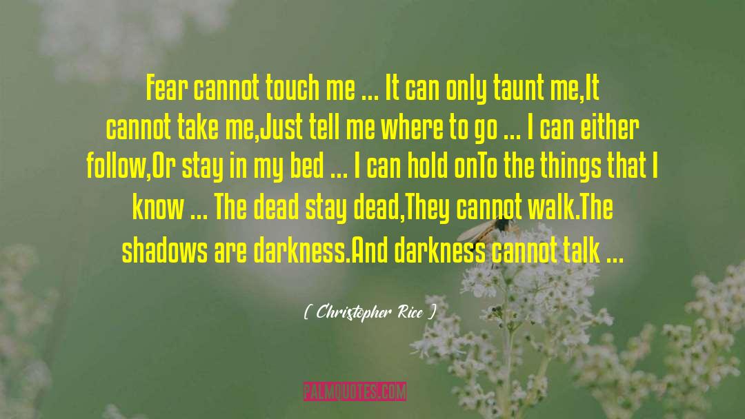 Christopher Rice Quotes: Fear cannot touch me ...