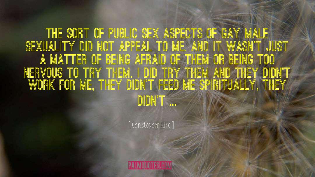 Christopher Rice Quotes: The sort of public sex