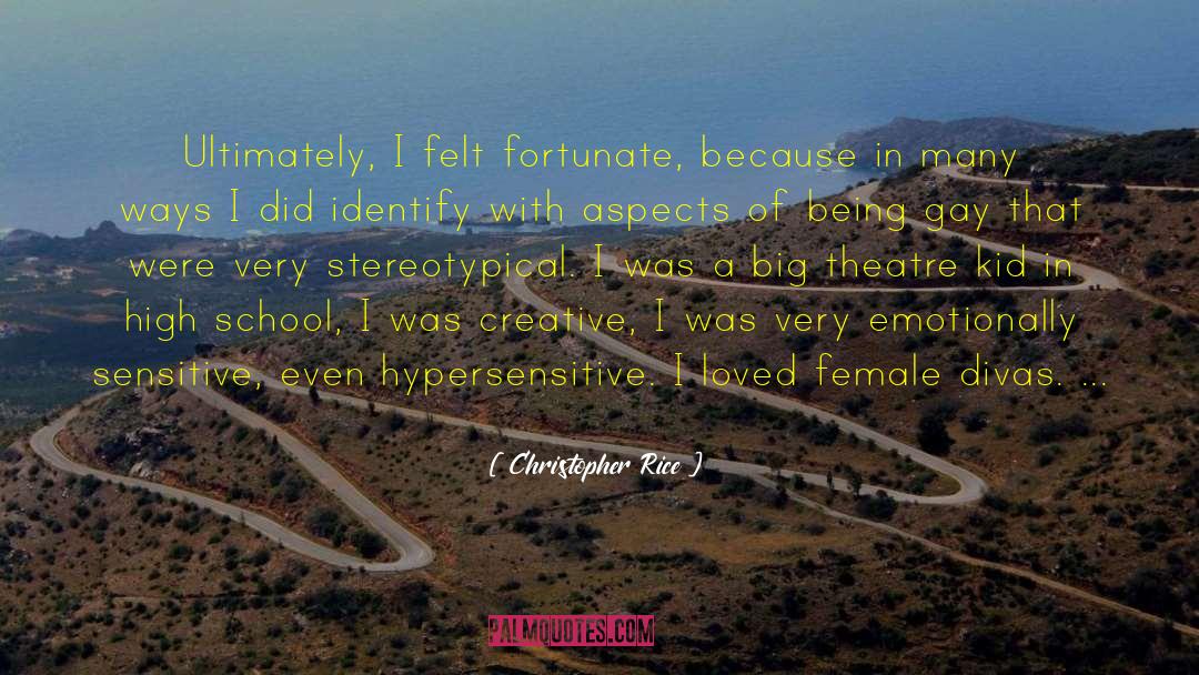 Christopher Rice Quotes: Ultimately, I felt fortunate, because