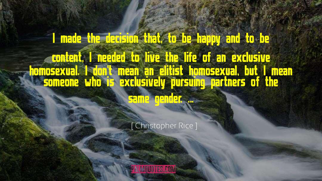 Christopher Rice Quotes: I made the decision that,