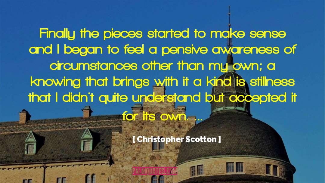 Christopher Scotton Quotes: Finally the pieces started to