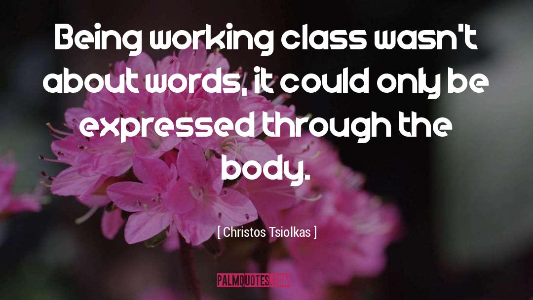 Christos Tsiolkas Quotes: Being working class wasn't about