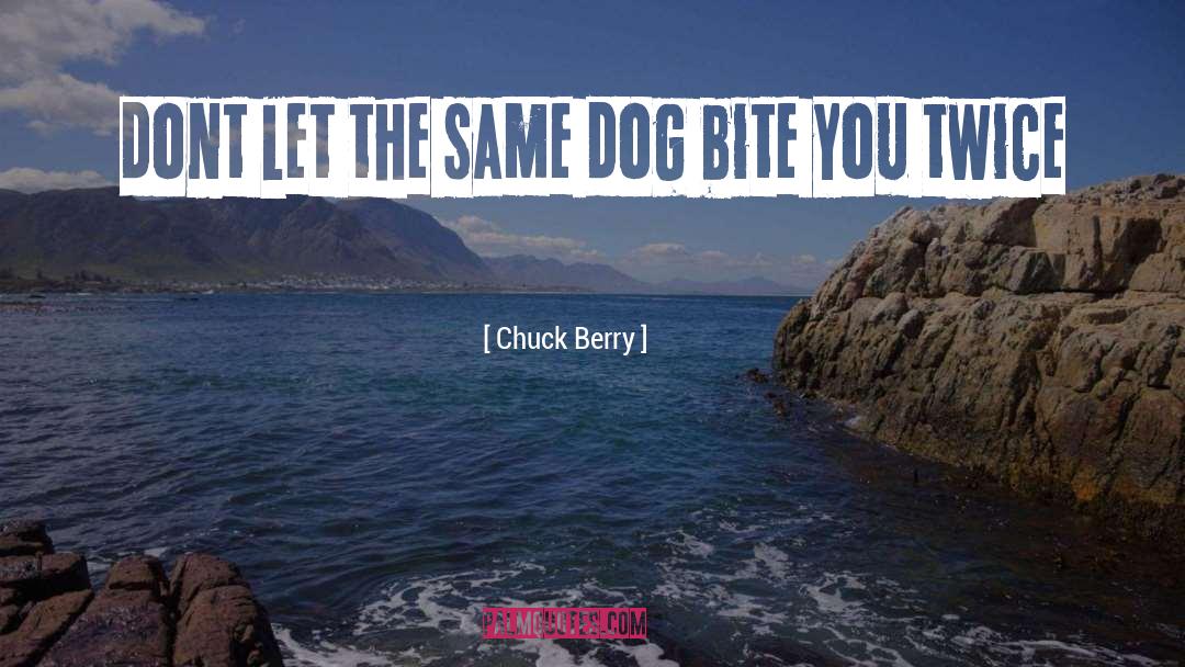 Chuck Berry Quotes: dont let the same dog