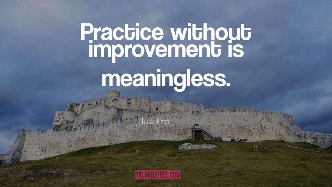 Chuck Knox Quotes: Practice without improvement is meaningless.