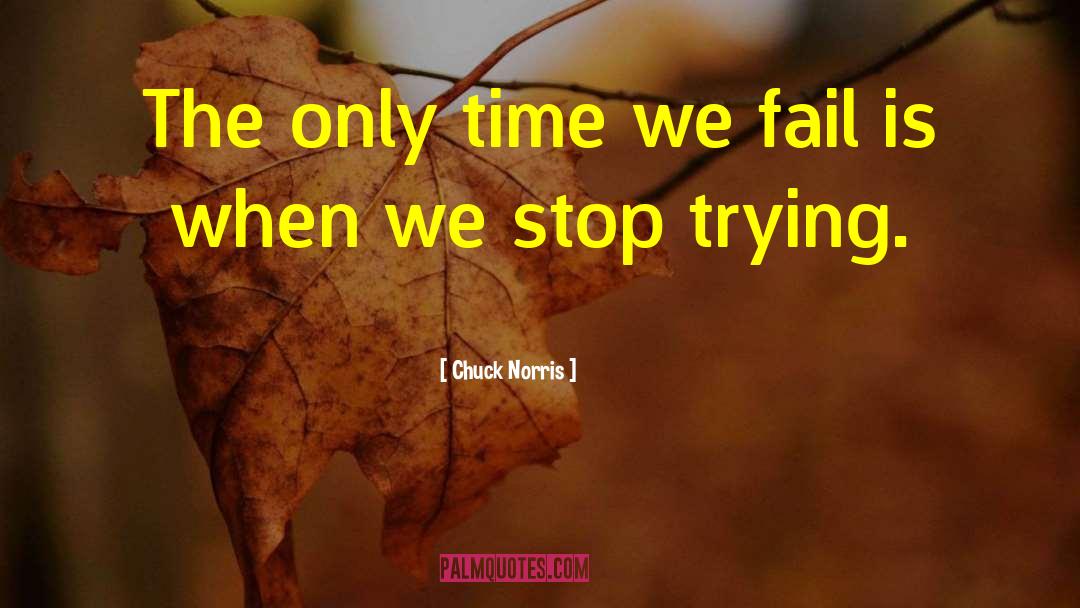 Chuck Norris Quotes: The only time we fail