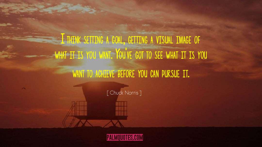 Chuck Norris Quotes: I think setting a goal,