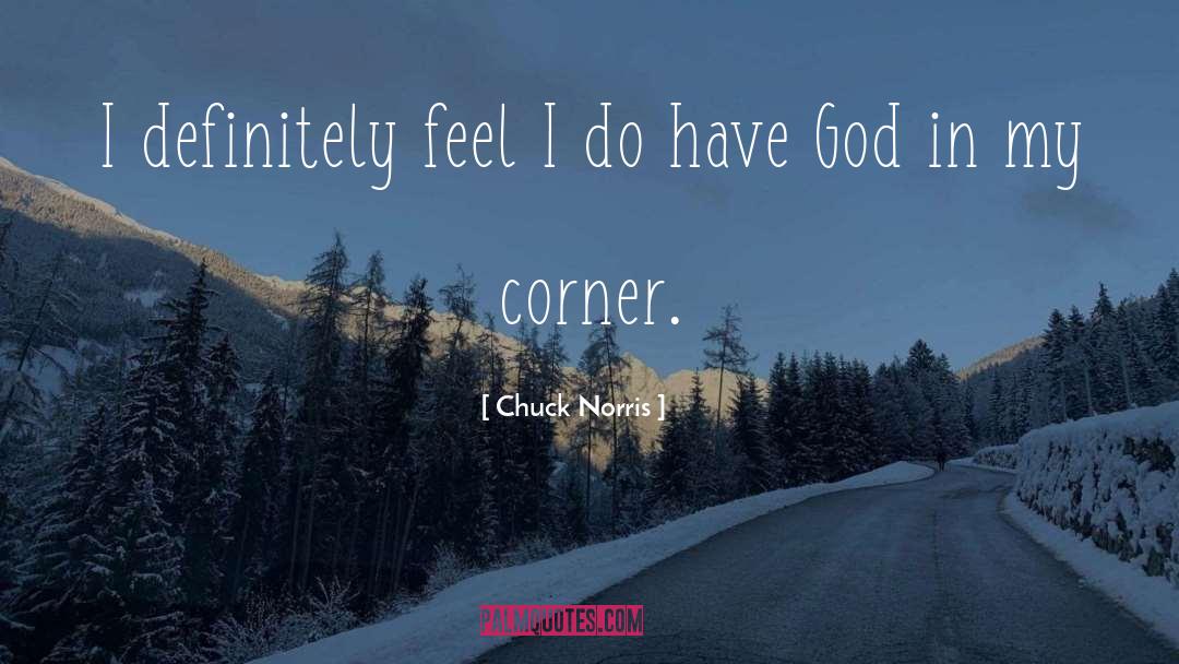 Chuck Norris Quotes: I definitely feel I do