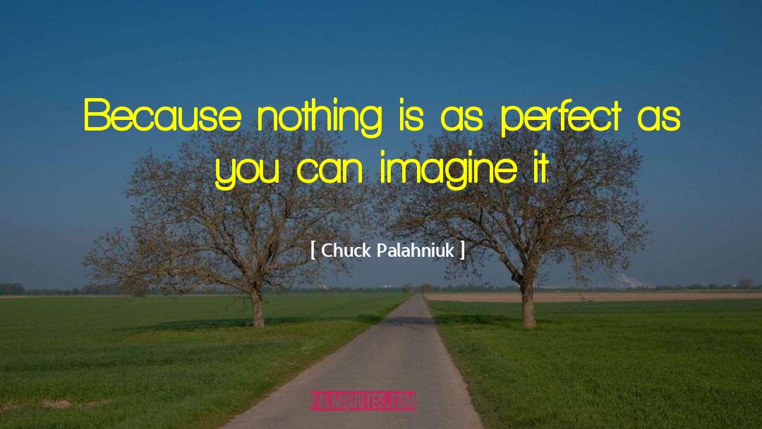 Chuck Palahniuk Quotes: Because nothing is as perfect