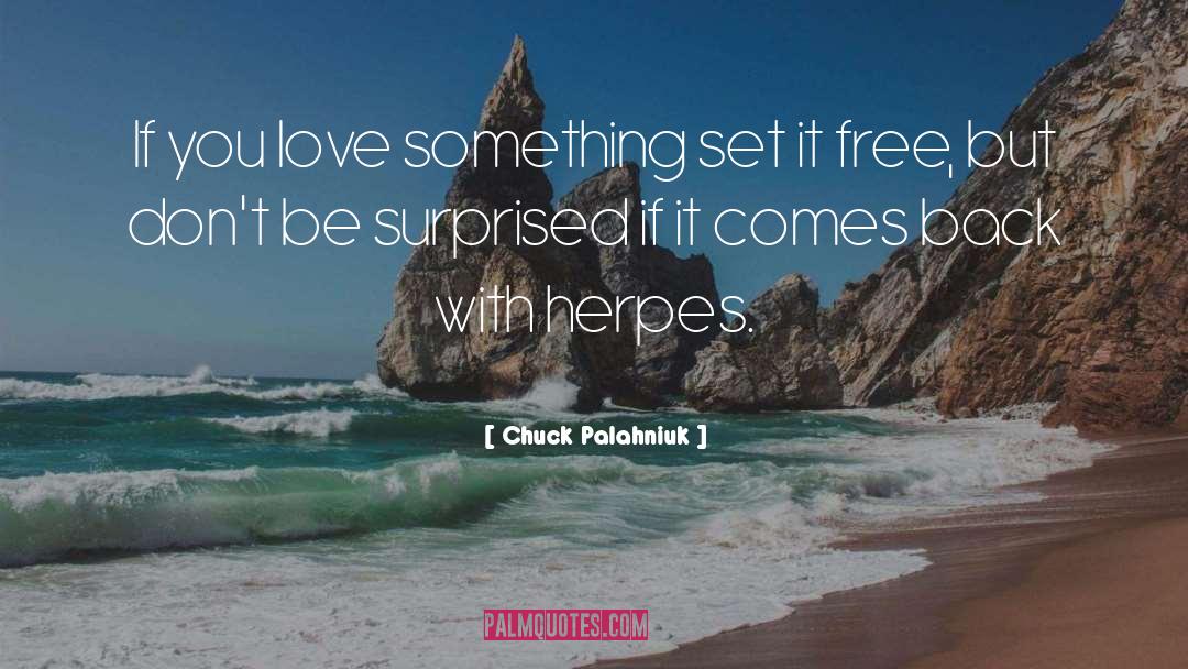Chuck Palahniuk Quotes: If you love something set