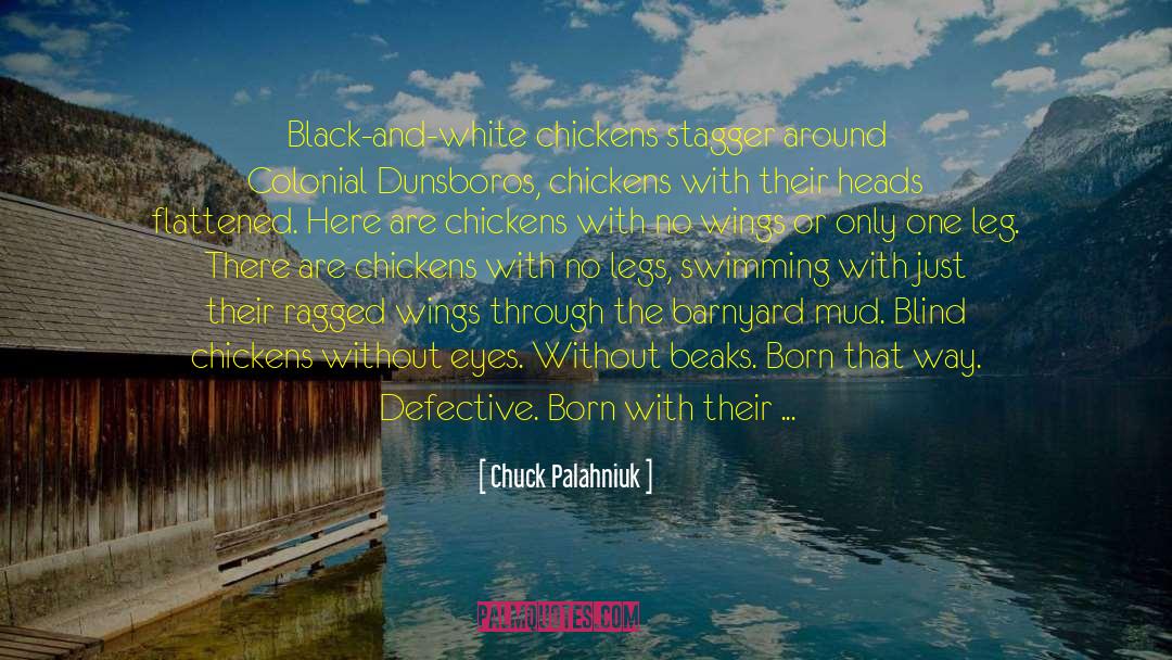 Chuck Palahniuk Quotes: Black-and-white chickens stagger around Colonial