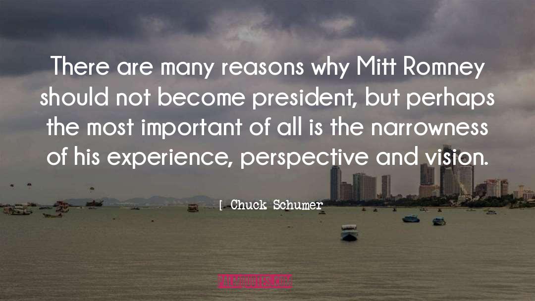 Chuck Schumer Quotes: There are many reasons why