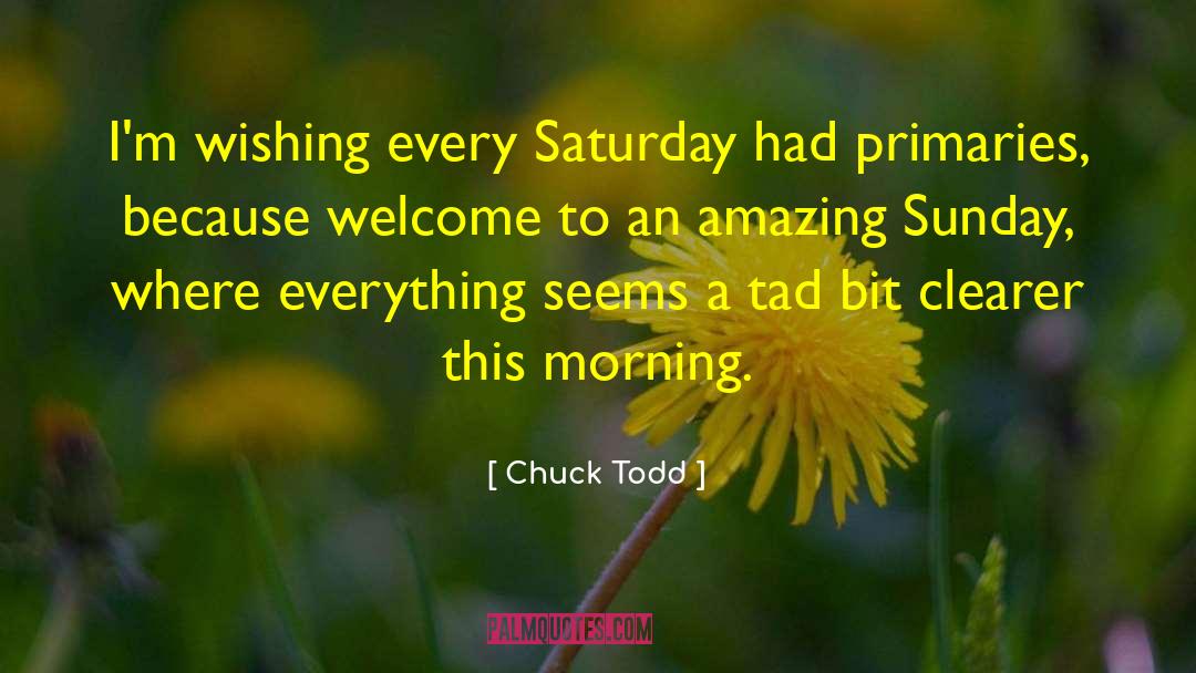 Chuck Todd Quotes: I'm wishing every Saturday had
