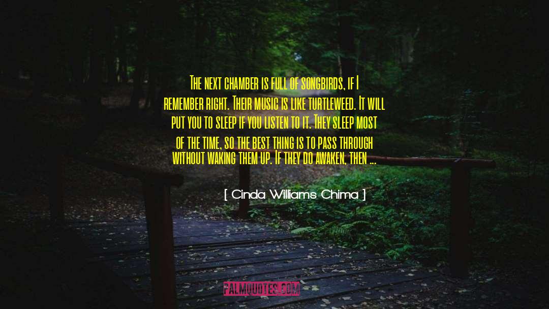 Cinda Williams Chima Quotes: The next chamber is full