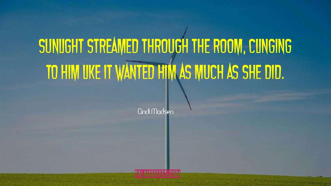 Cindi Madsen Quotes: Sunlight streamed through the room,