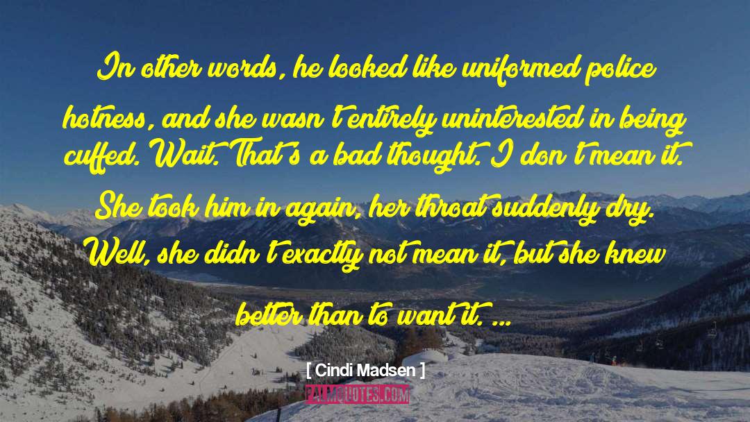 Cindi Madsen Quotes: In other words, he looked