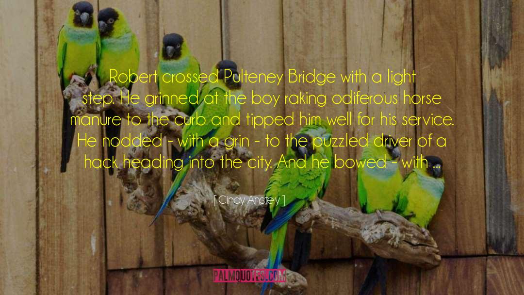 Cindy Anstey Quotes: Robert crossed Pulteney Bridge with