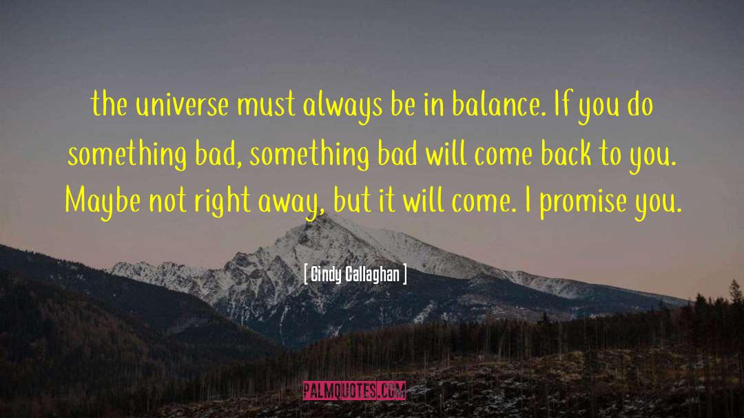 Cindy Callaghan Quotes: the universe must always be