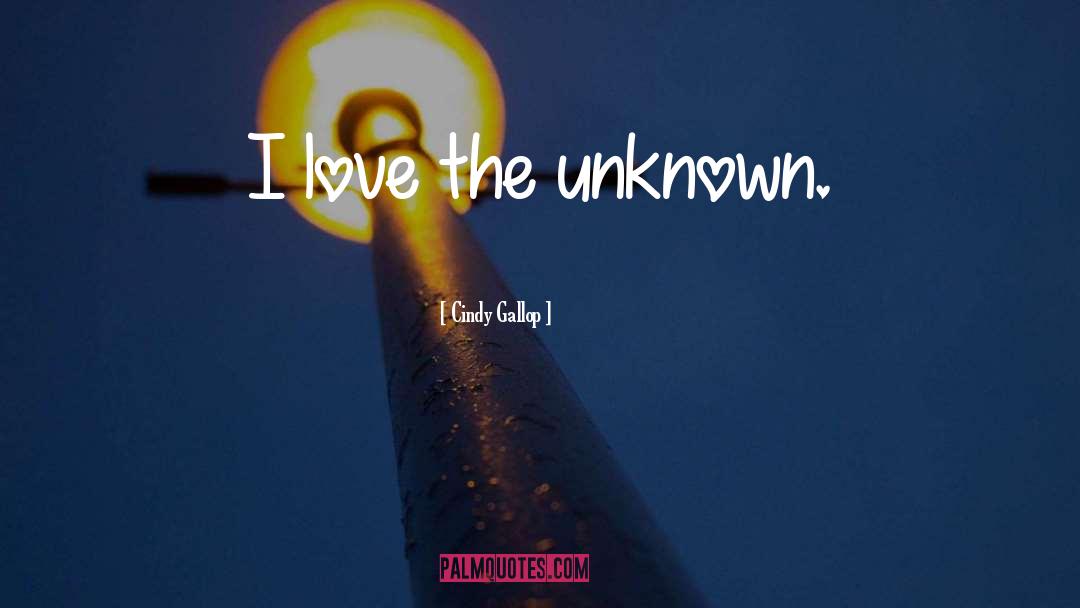 Cindy Gallop Quotes: I love the unknown.