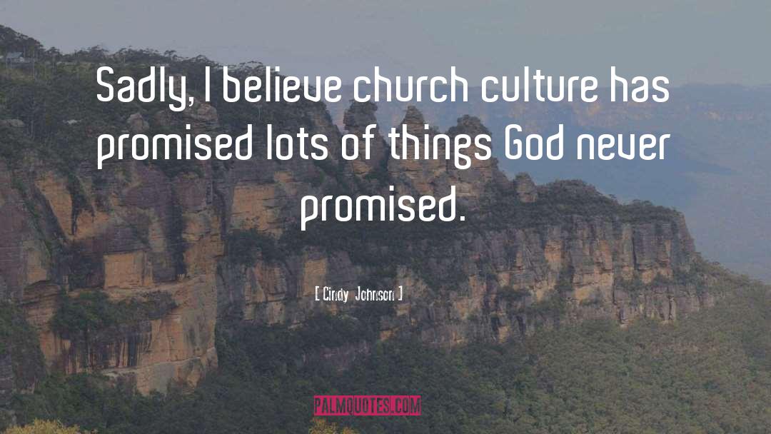 Cindy  Johnson Quotes: Sadly, I believe church culture