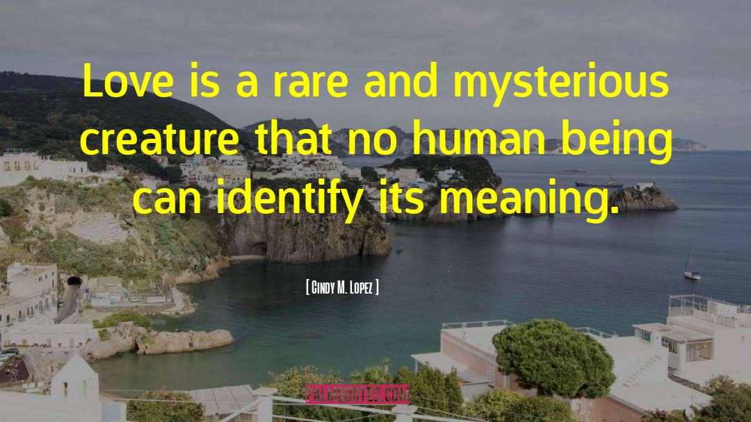 Cindy M. Lopez Quotes: Love is a rare and