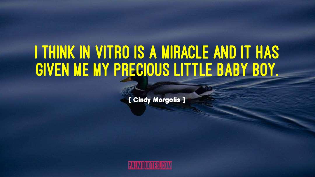 Cindy Margolis Quotes: I think in vitro is