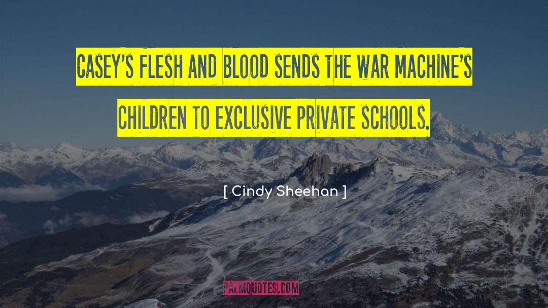 Cindy Sheehan Quotes: Casey's flesh and blood sends