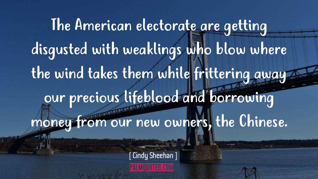 Cindy Sheehan Quotes: The American electorate are getting