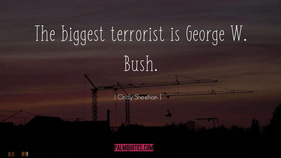 Cindy Sheehan Quotes: The biggest terrorist is George