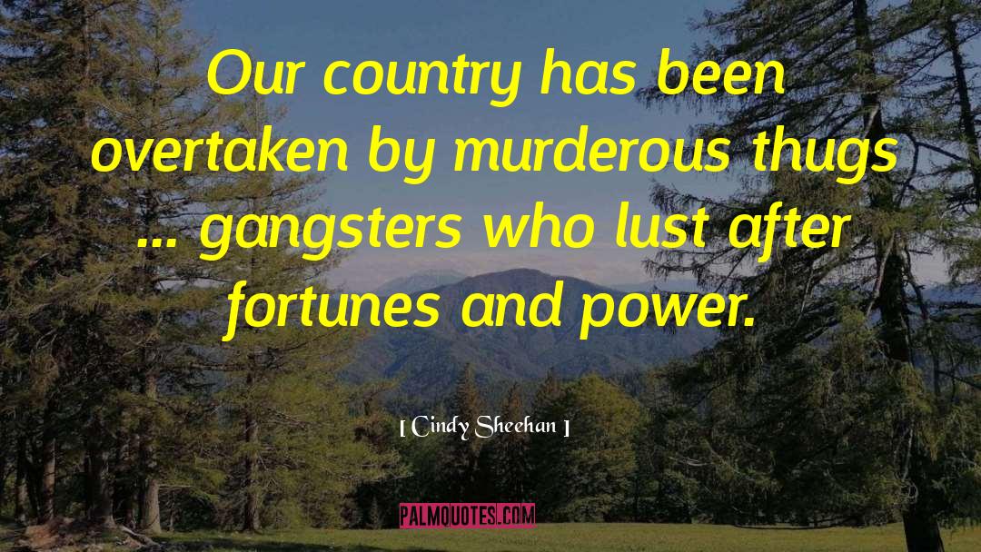 Cindy Sheehan Quotes: Our country has been overtaken