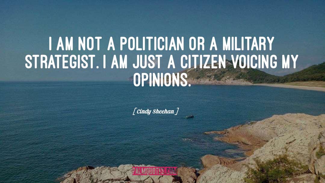 Cindy Sheehan Quotes: I am not a politician