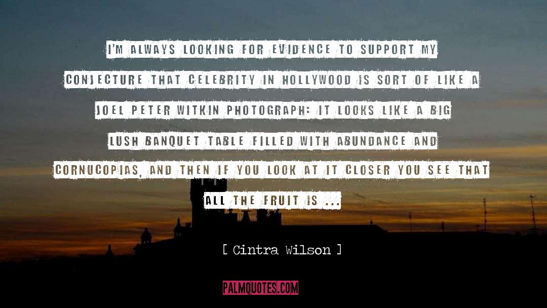 Cintra Wilson Quotes: I'm always looking for evidence